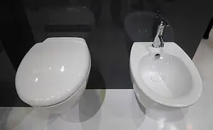 Биде подвесное Jacob Delafon Presquile белый E4441-00 Биде подвесное Jacob Delafon Presquile белый E4441-00, 4