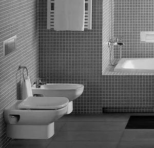 Унитаз подвесной Roca Dama Senso белый 346517000 Унитаз подвесной Roca Dama Senso белый 346517000, 4