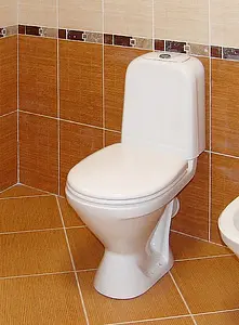 Унитаз-компакт Sanita Самарский Комфорт белый WC.CC/Samarsky/2-TM/WHT.G/S1 Унитаз-компакт Sanita Самарский Комфорт белый WC.CC/Samarsky/2-TM/WHT.G/S1, 3