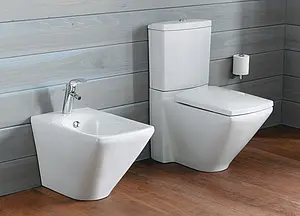 Биде напольное Jacob Delafon Escale белый E1293-00 Биде напольное Jacob Delafon Escale белый E1293-00, 3