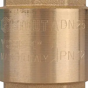 Клапан обратный пружинный 1"в x 1"в Stout York SVC-0012-000025 Клапан обратный пружинный 1"в x 1"в Stout York SVC-0012-000025, 4