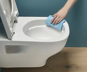 Унитаз подвесной безободковый Jacob Delafon Struktura Rimless белый EDE102-00 Унитаз подвесной безободковый Jacob Delafon Struktura Rimless белый EDE102-00, 5