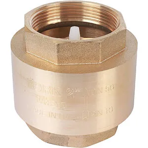 Клапан обратный пружинный 2"в x 2"в Itap York 1030200 Клапан обратный пружинный 2"в x 2"в Itap York 1030200, 4