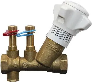 Балансировочный клапан 1"в х 1"в Kvs 7 Giacomini R206BY005 Балансировочный клапан 1"в х 1"в Kvs 7 Giacomini R206BY005, 1