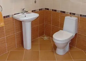 Унитаз-компакт Sanita Лада Комфорт белый WC.CC/Lada/2-DM/WHT.G/S1 Унитаз-компакт Sanita Лада Комфорт белый WC.CC/Lada/2-DM/WHT.G/S1, 4