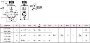 Балансировочный клапан 1"в х 1"в Kvs 4.15 Giacomini R206CY225 Балансировочный клапан 1"в х 1"в Kvs 4.15 Giacomini R206CY225, 2