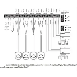 Модуль управления Neptun ProW+ 2153651 Модуль управления Neptun ProW+ 2153651, 3