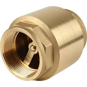 Клапан обратный пружинный 2"в x 2"в Itap Europa 1000200 Клапан обратный пружинный 2"в x 2"в Itap Europa 1000200, 1