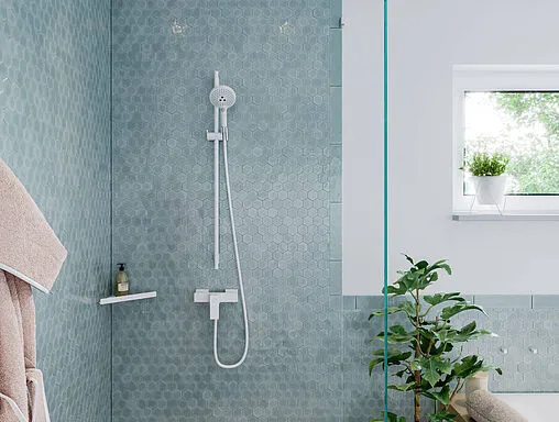 Лейка ручного душа Hansgrohe Raindance Select S 120 3jet EcoSmart белый матовый 26531700