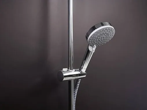 Лейка ручного душа Hansgrohe Vernis Blend 100 Vario 2 jet EcoSmart+ хром 26090000