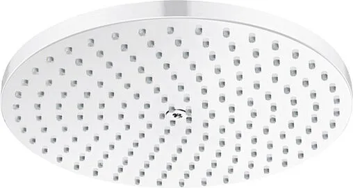 Лейка верхнего душа Hansgrohe Raindance S 240 1jet PowderRain белый матовый 27623700