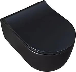 Унитаз подвесной безободковый Allen Brau Priority черный матовый 4.31002.31 Унитаз подвесной безободковый Allen Brau Priority черный матовый 4.31002.31, 4
