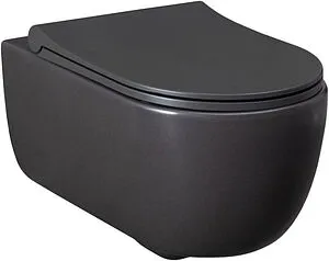 Унитаз подвесной безободковый Allen Brau Priority антрацит 4.31001.AN Унитаз подвесной безободковый Allen Brau Priority антрацит 4.31001.AN, 1
