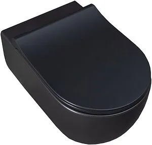 Унитаз подвесной безободковый Allen Brau Priority черный матовый 4.31001.31 Унитаз подвесной безободковый Allen Brau Priority черный матовый 4.31001.31, 5