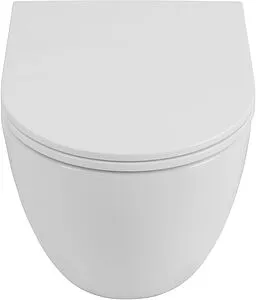 Унитаз подвесной безободковый Allen Brau Priority Tornado белый 4.31008.20 Унитаз подвесной безободковый Allen Brau Priority Tornado белый 4.31008.20, 5