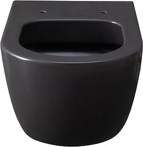 Унитаз подвесной безободковый Allen Brau Priority антрацит 4.31001.AN Унитаз подвесной безободковый Allen Brau Priority антрацит 4.31001.AN, 5